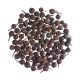ΠΙΠΕΡΙ ΚΟΥΜΠΕΜΠΑ (CUBEB) ΙΝΔΟΝΗΣΙΑΣ