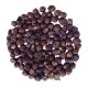 ΠΙΠΕΡΙ GUINEA ΓΚΑΝΑΣ ΔΥΤ.ΑΦΡΙΚΗΣ (Melegueta Pepper)