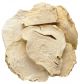 ΧΡΕΝΟ (HORSERADISH) ΡΙΖΑ ΚΟΜΜΕΝΗ ΚΙΝΕΖΙΚΗ