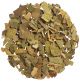 ΤΖΙΝΓΚΟ ΜΠΙΛΟΜΠΑ (GINKGO BILOBA) ΦΥΛΛΟ ΚΟΜΜΕΝΟ ΚΙΝΑΣ