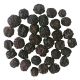 ΣΑΜΠΟΥΚΟΣ (ELDERBERRY) ΚΑΡΠΟΣ ΟΛΟΚΛΗΡΟΣ ΑΜΕΡΙΚΗΣ