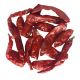 ΠΙΠΕΡΙΤΣΕΣ (CHILI) ΟΛΟΚΛΗΡΕΣ ΚΑΥΤΕΡΕΣ ΒΙΕΤΝΑΜ