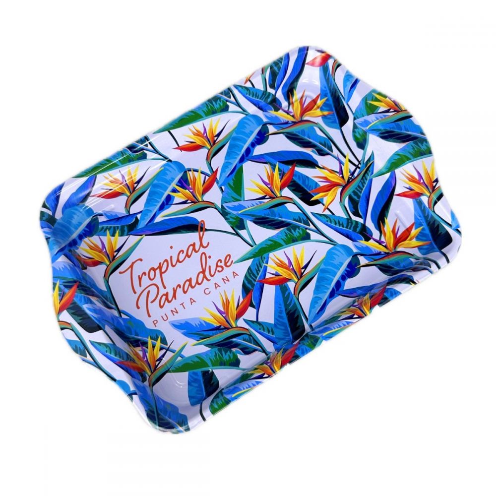 ΔΙΣΚΟΣ ΜΕΤΑΛΛΙΚΟΣ ΣΤΡΙΨΙΜΑΤΟΣ TROPICAL DESIGN 21 x 14 cm