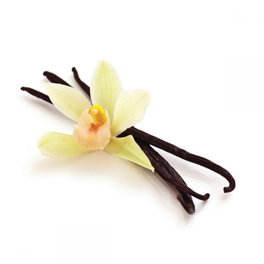 ΒΑΝΙΛΙΑ FRUCTUS ΜΑΔΑΓΑΣΚΑΡΗΣ (STICK) 