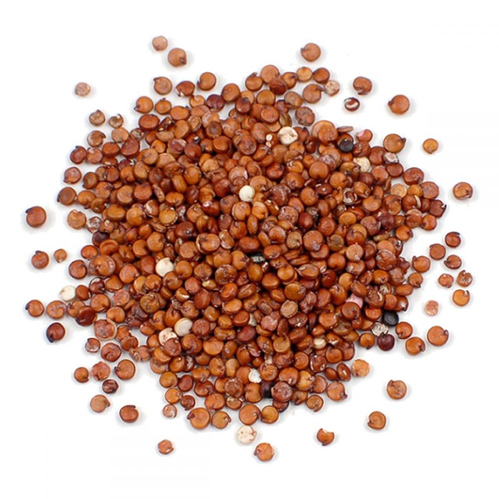 ΚΙΝΟΑ ΚΟΚΚΙΝΟΣ ΣΠΟΡΟΣ ΠΕΡΟΥ (QUINOA PERU)
