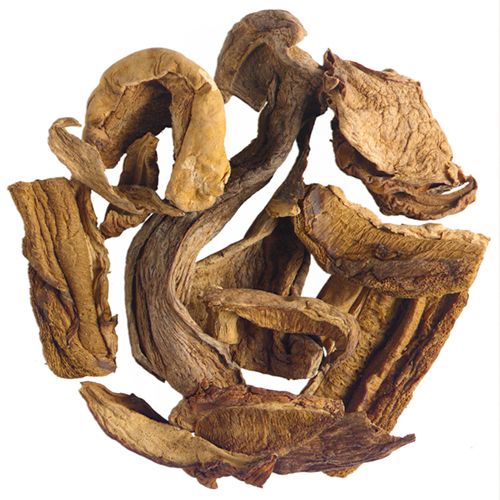 ΜΑΝΙΤΑΡΙ PORCINI ΦΕΤΕΣ ΚΙΝΑΣ