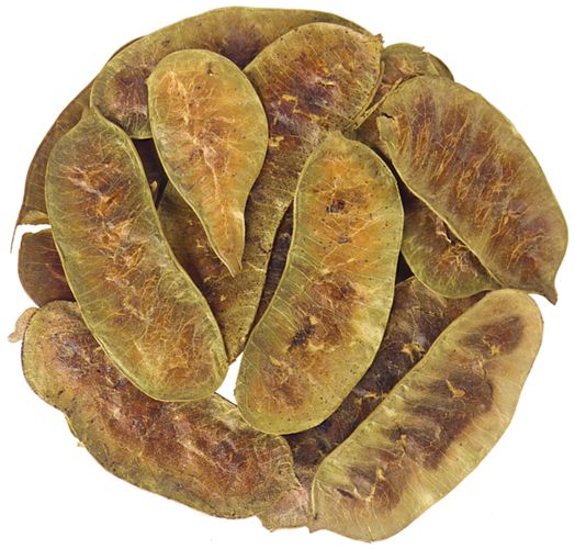 ΣΕΝΝΑ / ΦΥΛΛΑ ΑΛΕΞΑΝΔΡΕΙΑΣ / (INDIAN SENNA) ΦΥΛΛΑ
