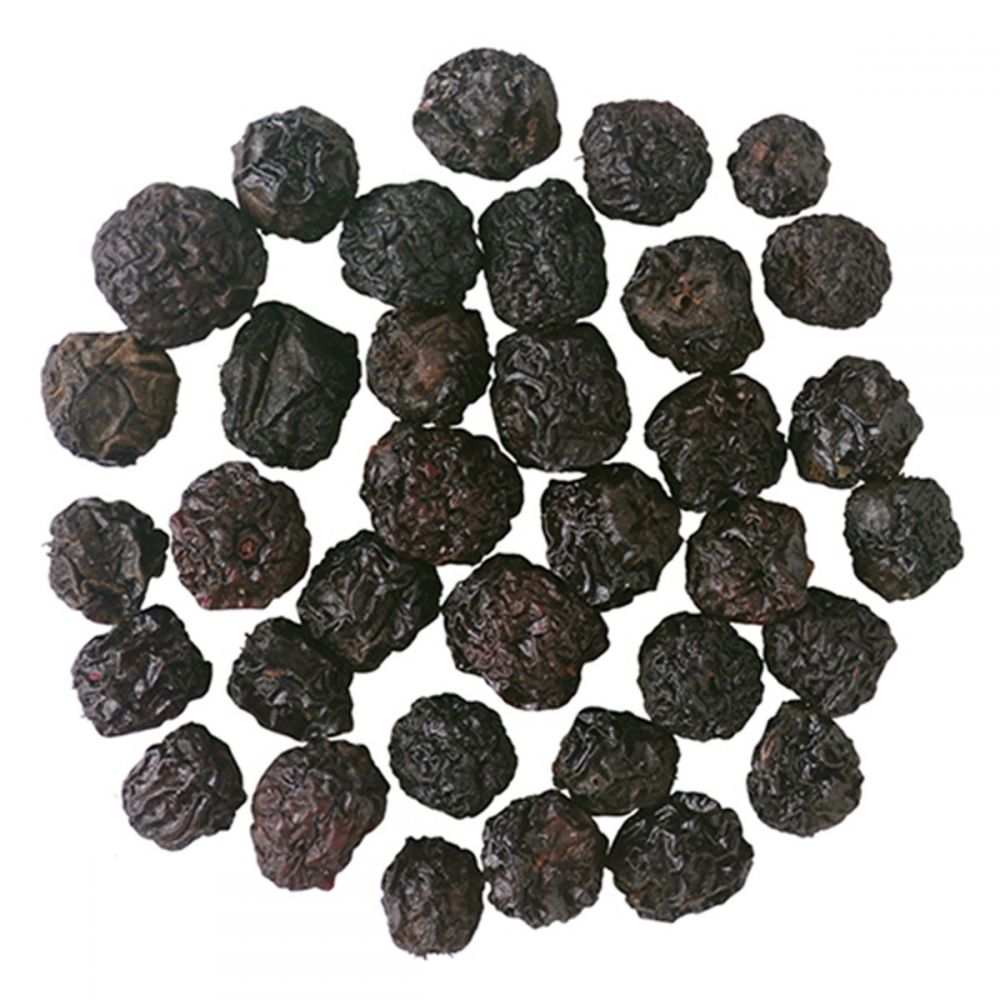ΣΑΜΠΟΥΚΟΣ (ELDERBERRY) ΚΑΡΠΟΣ ΟΛΟΚΛΗΡΟΣ ΑΜΕΡΙΚΗΣ