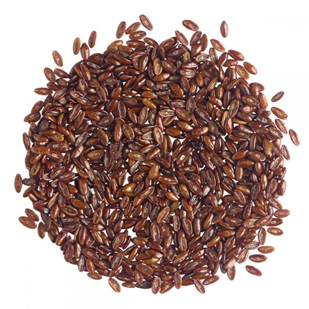 ΨΥΛΛΙΟ (Psyllium) ΣΠΟΡΟΣ ΕΛΛΗΝΙΚΟ