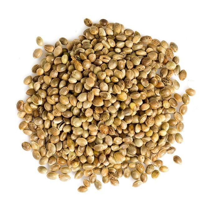 ΚΑΝΝΑΒΗ ΣΠΟΡΟΣ (Cannabis Sativa) ΑΠΟΦΛΟΙΩΜΕΝΟΣ ΚΙΝΑΣ 