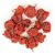 ΠΙΠΕΡΙΑ CAROLINA REAPER ΤΣΙΛΙ ΟΛΟΚΛΗΡΗ ΜΕΞΙΚΟΥ