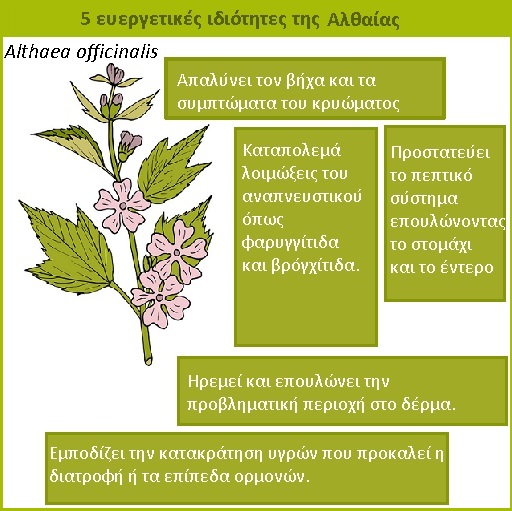 ΑΛΘΑΙΑ